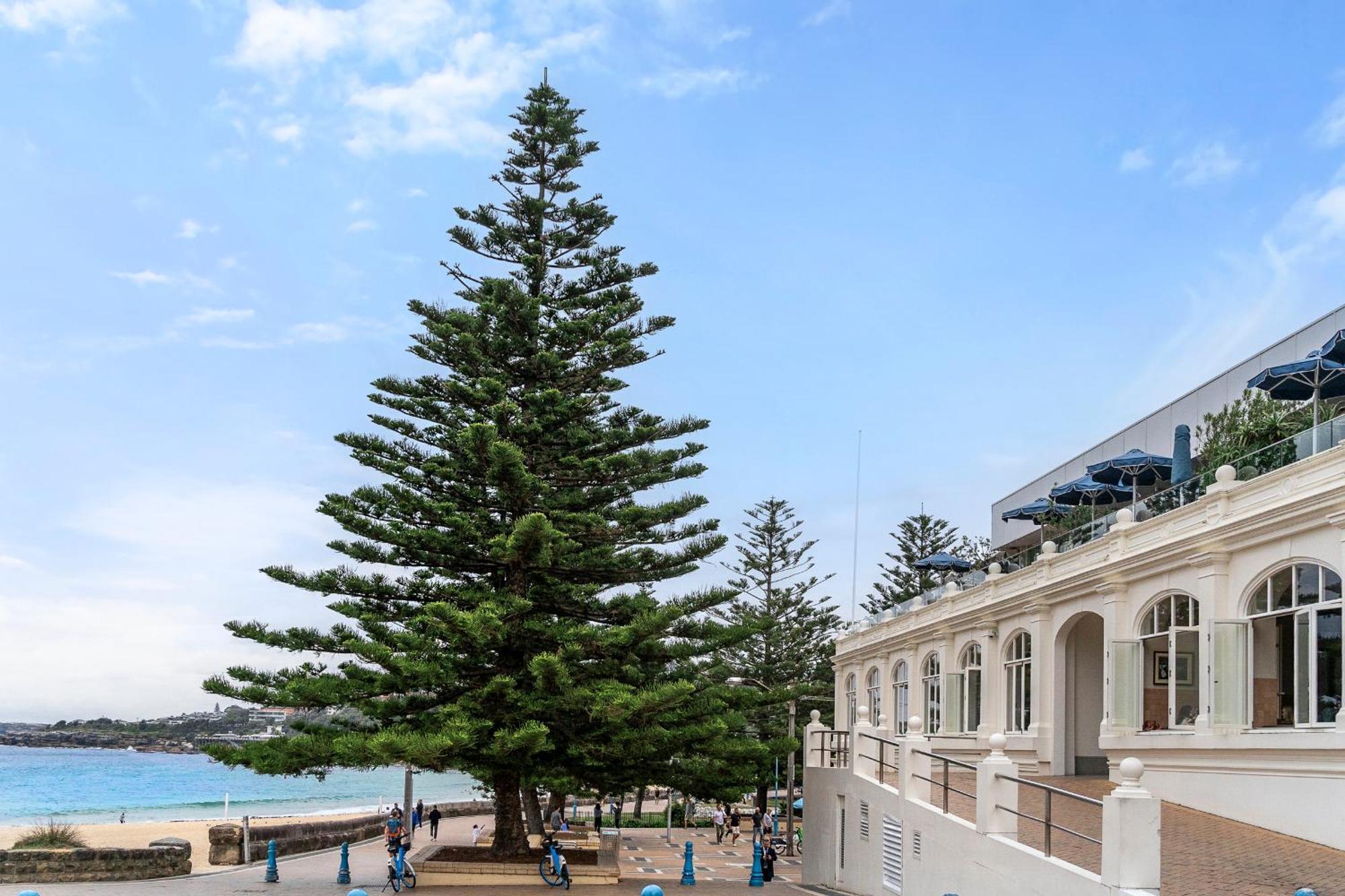 Modern 1Br Abode With Courtyard Steps To The Beach Σίδνεϊ Εξωτερικό φωτογραφία